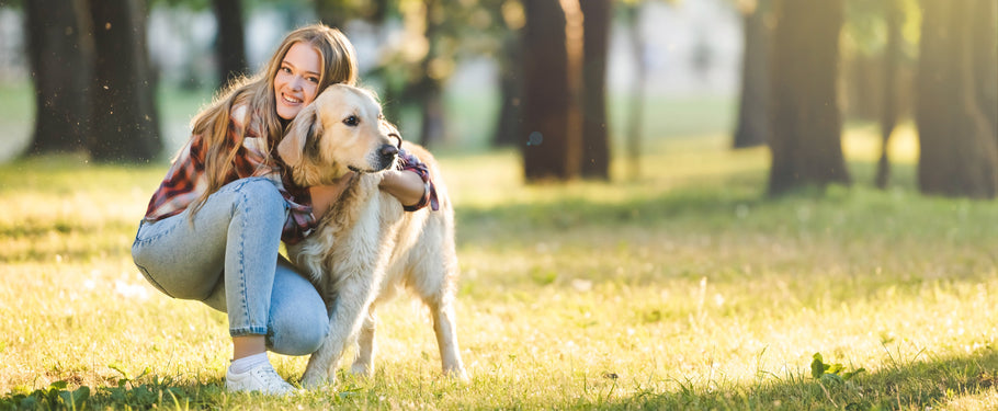 Probiotics for dogs after diarrhea: support for healthy digestion