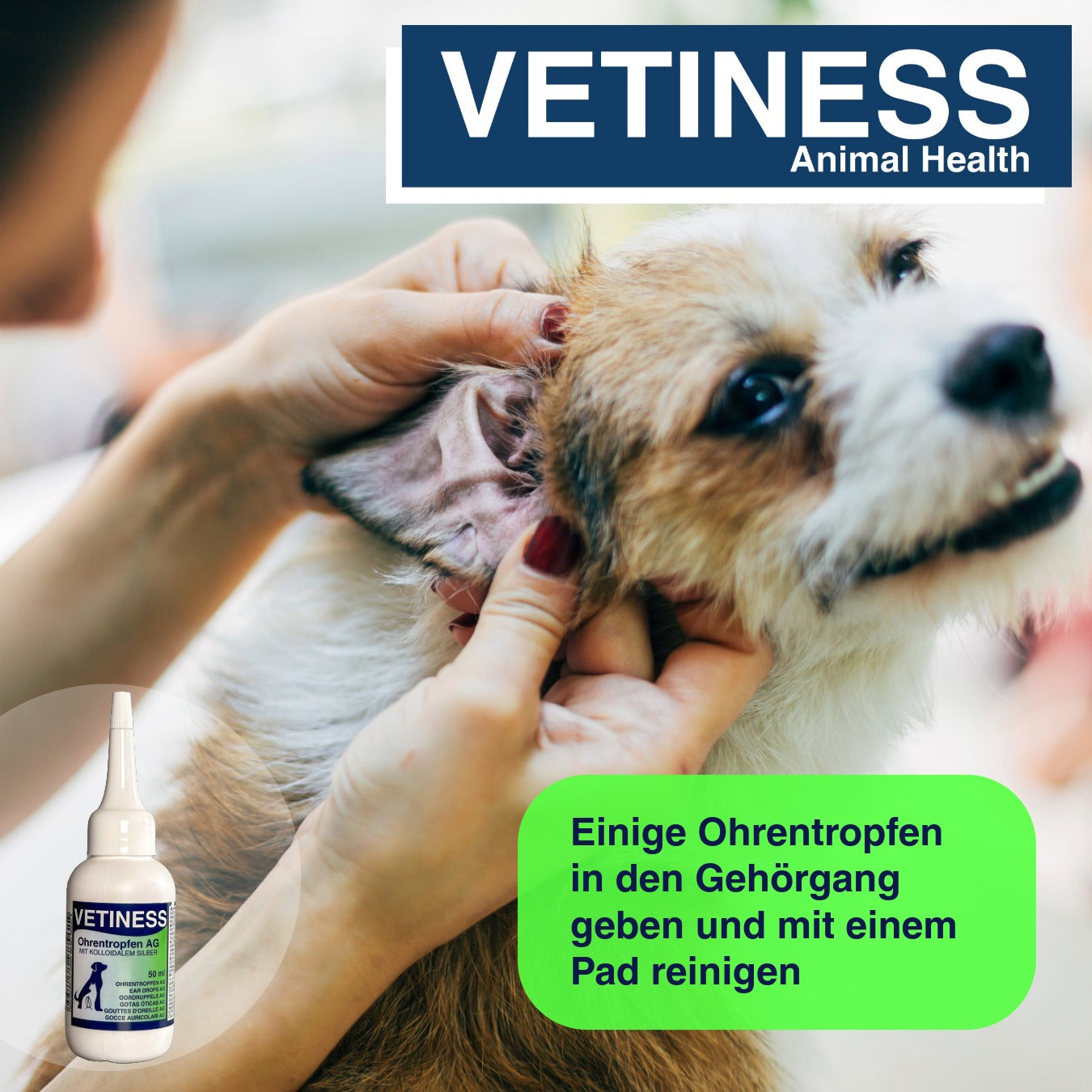 Vetiness Ear Drops AG