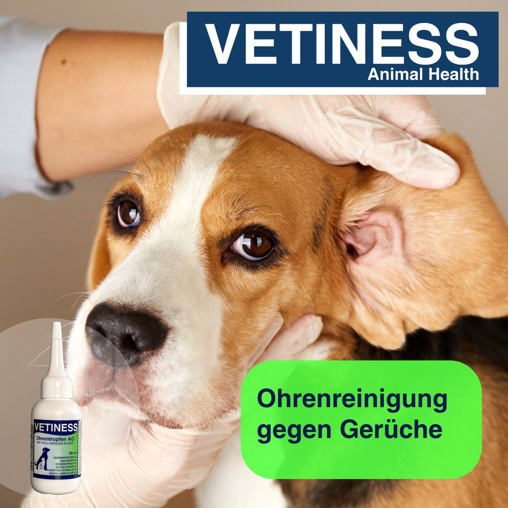 Vetiness Ear Drops AG