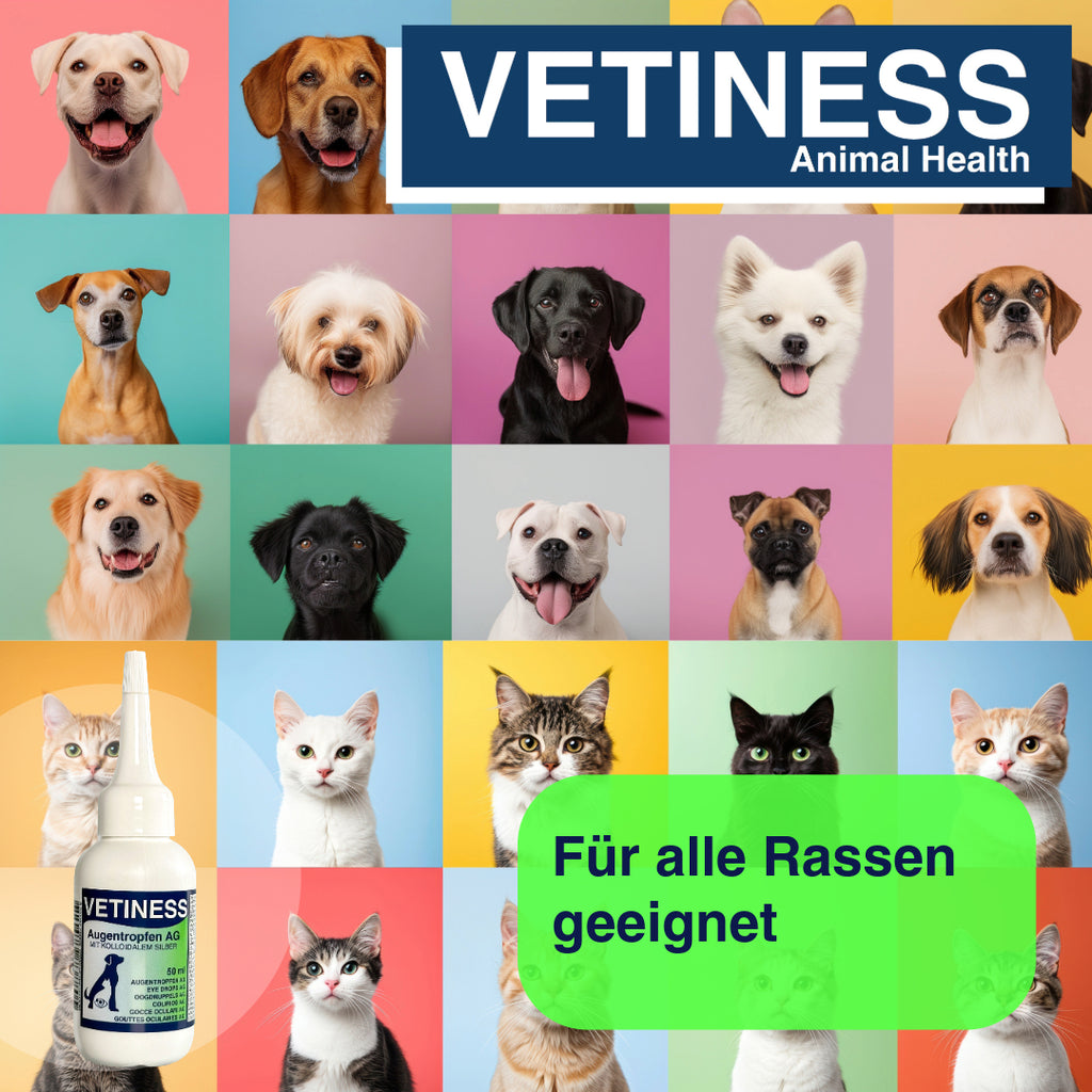 Vetiness Eye Drops AG