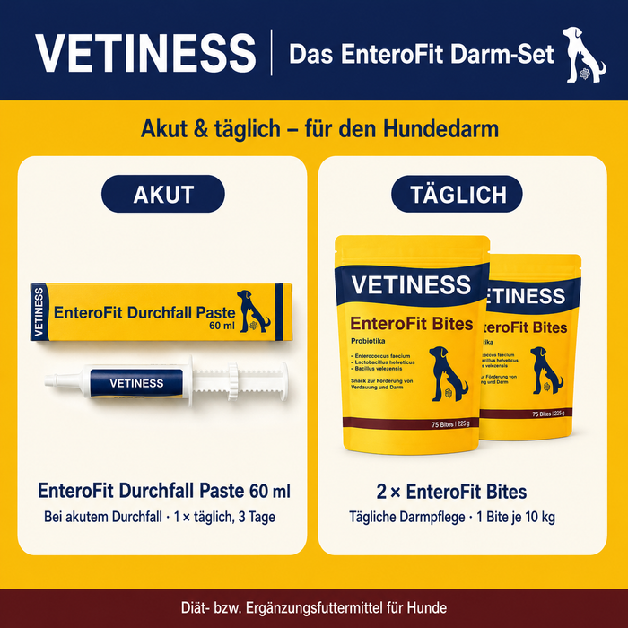 Verdauungsset für Hunde – 2x EnteroFit Probiotika Bites und 1x Durchfall Paste 60 ml