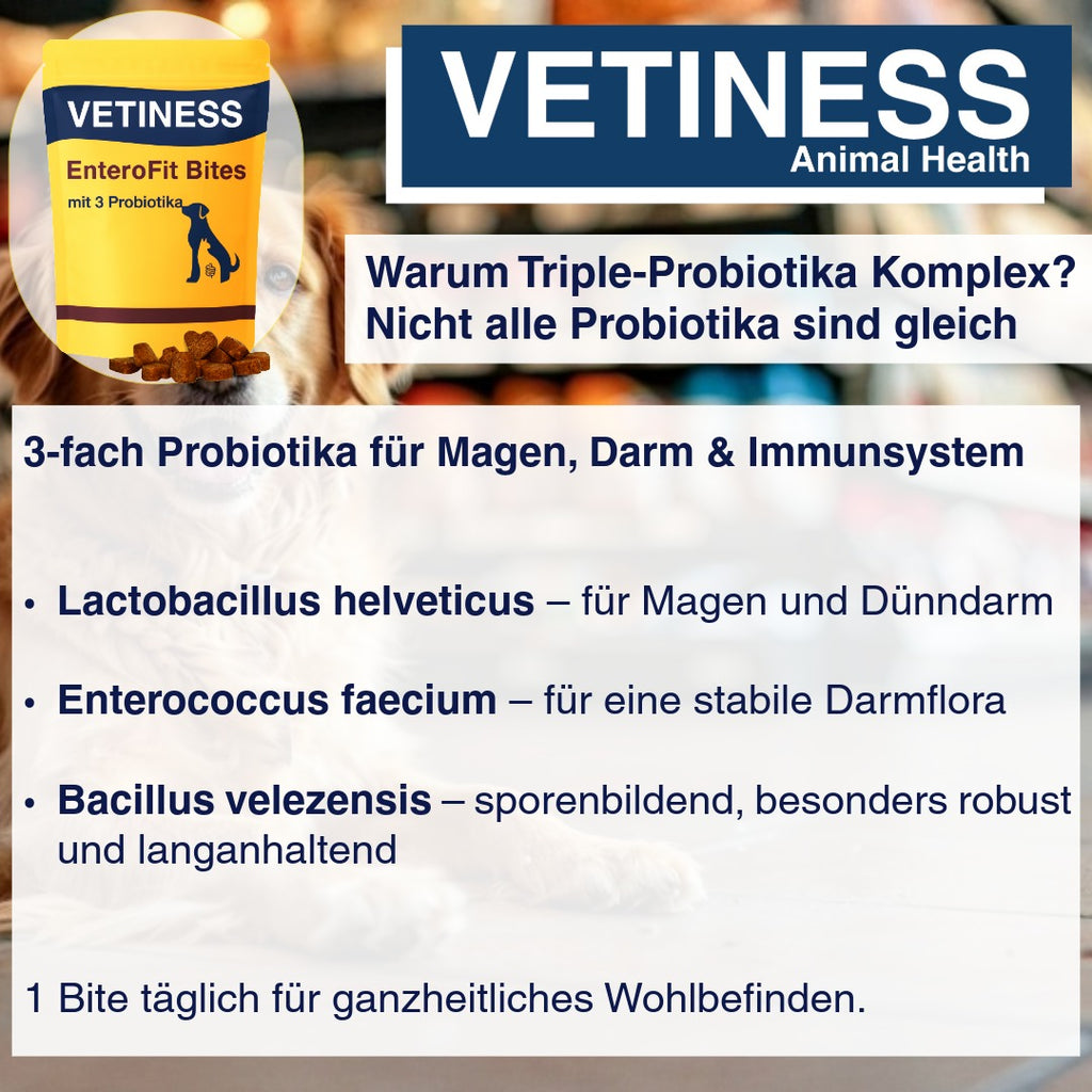 Vetiness EnteroFit Bites – Love begins in the belly