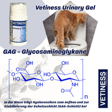 Load the image into the gallery viewer, Vetiness Urinary Gel
