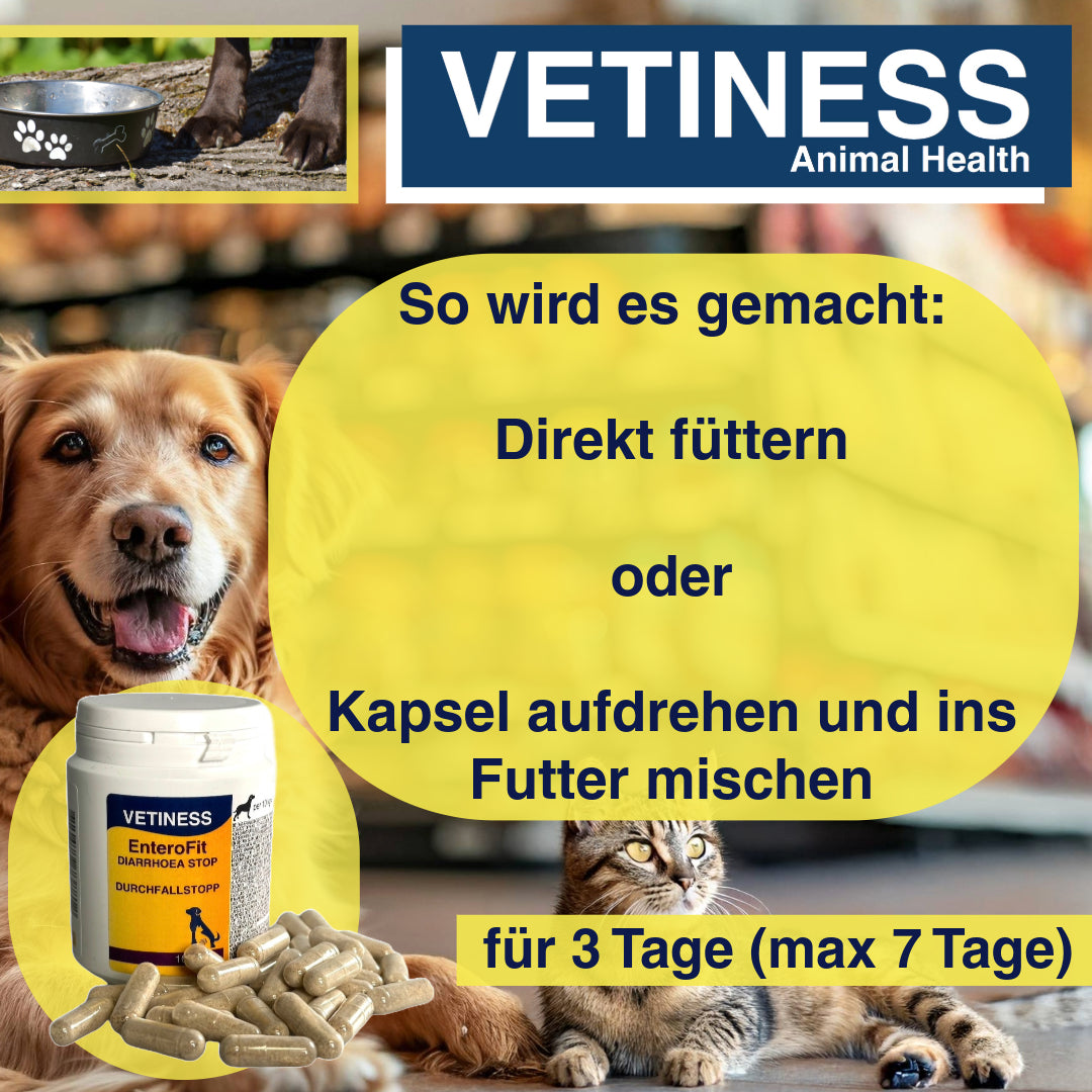 Vetiness EnteroFit Diarrhea Stop Capsules