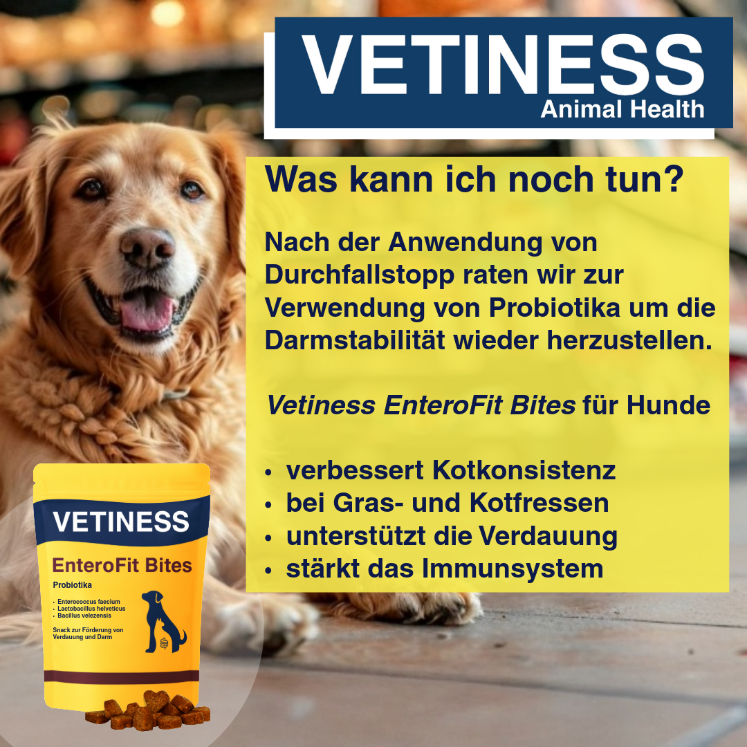 Vetiness diarrhea stop for dogs and cats
