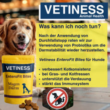 Load the image into the gallery viewer, Vetiness diarrhea stop for dogs and cats
