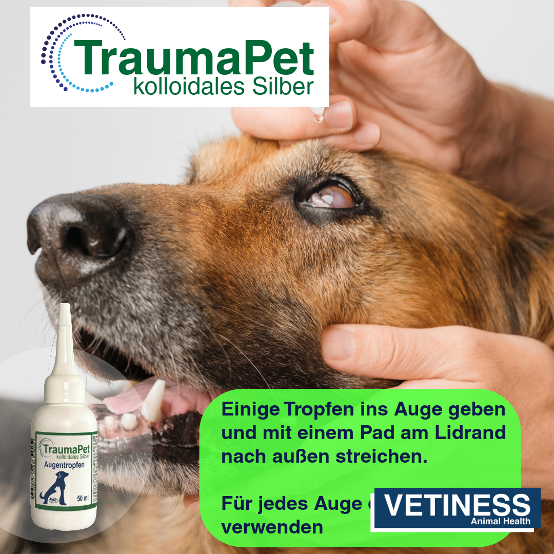 Traumapet eye drops with colloidal silver