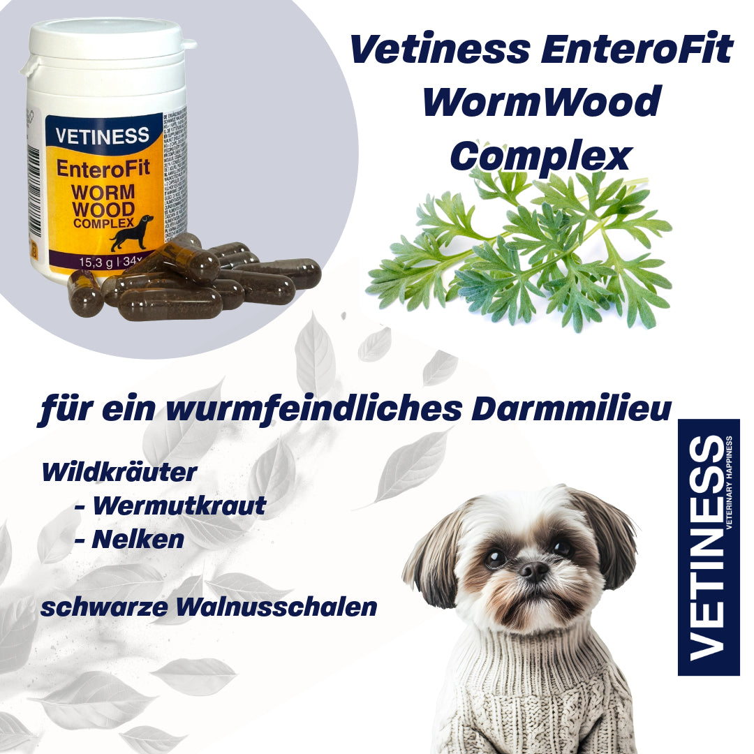 EnteroFit Wormwood Complex - for dogs - 34 capsules
