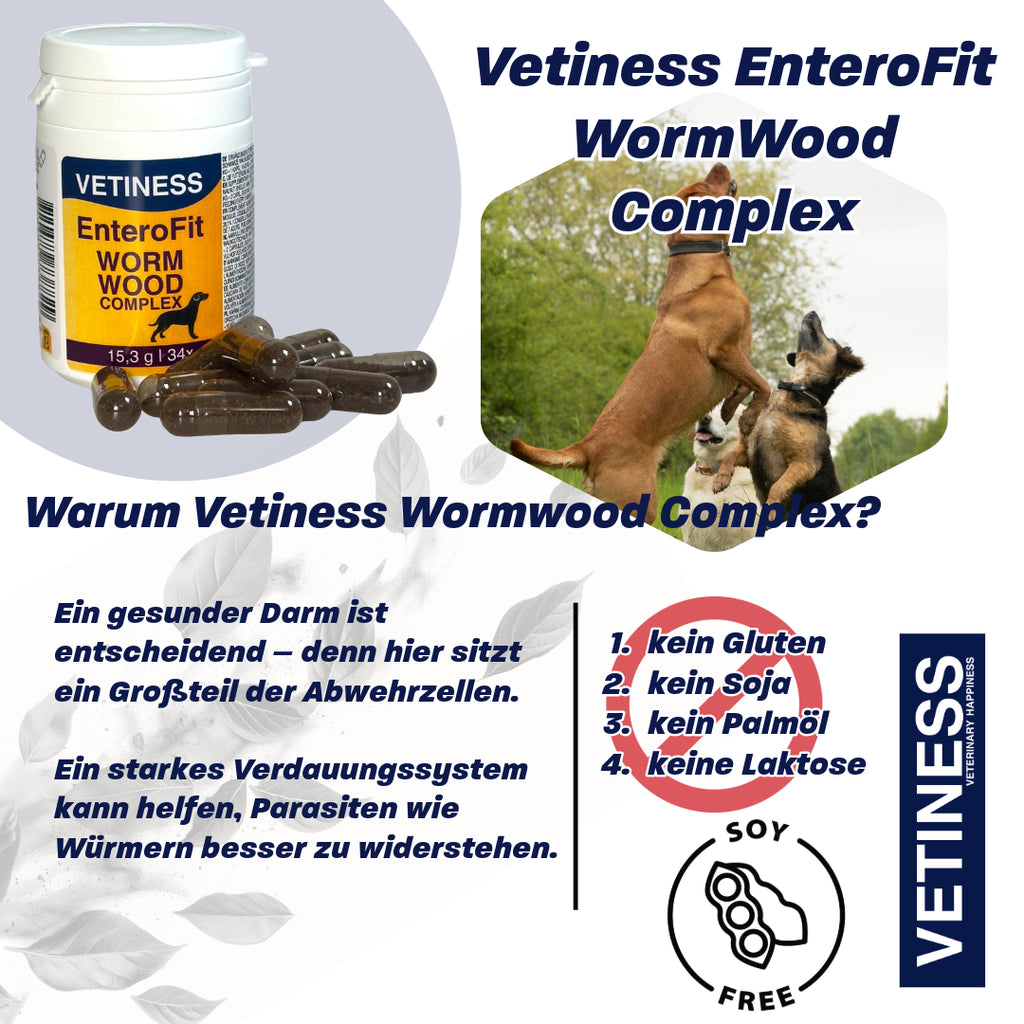 EnteroFit Wormwood Complex - for dogs - 34 capsules