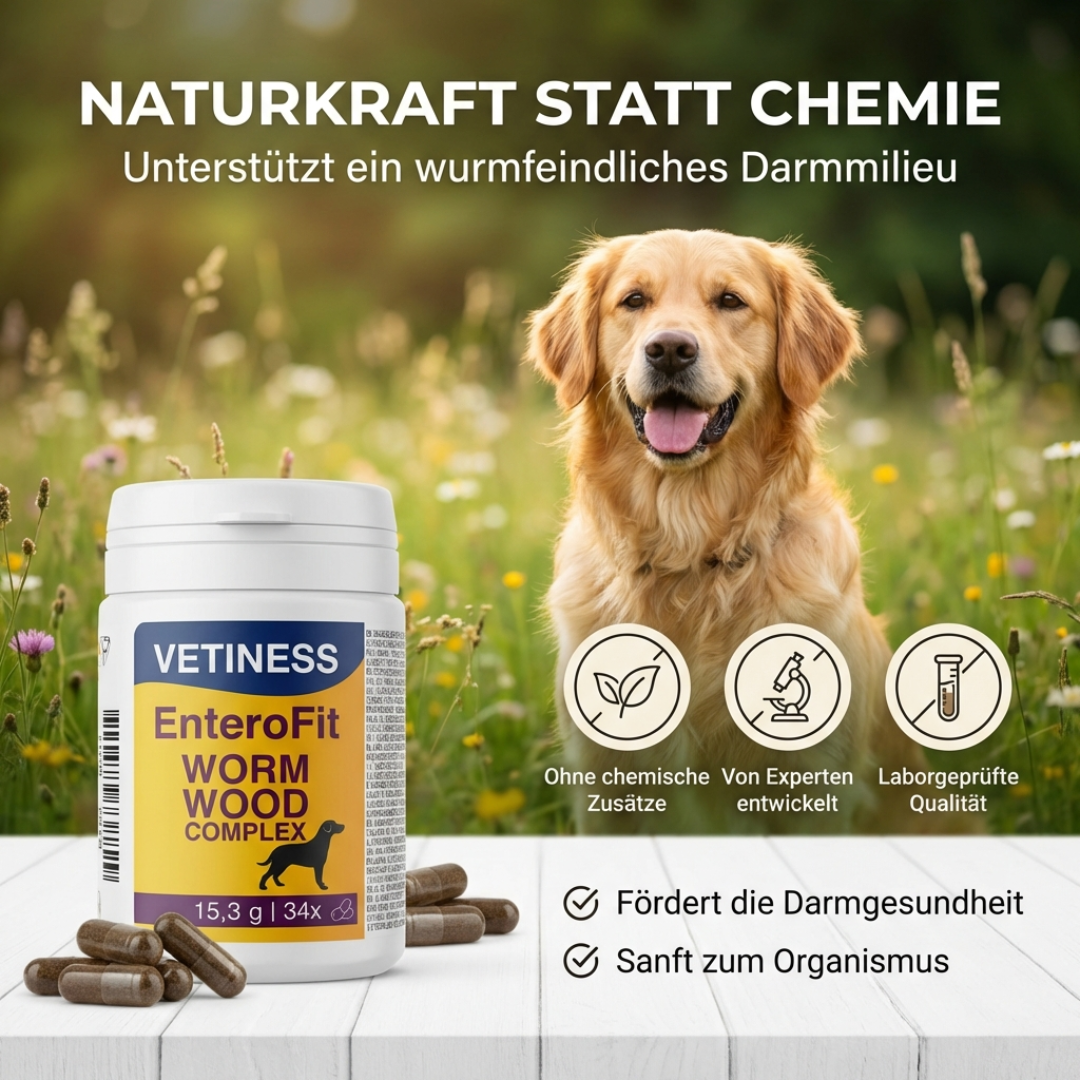 EnteroFit Wormwood Complex - for dogs - 34 capsules