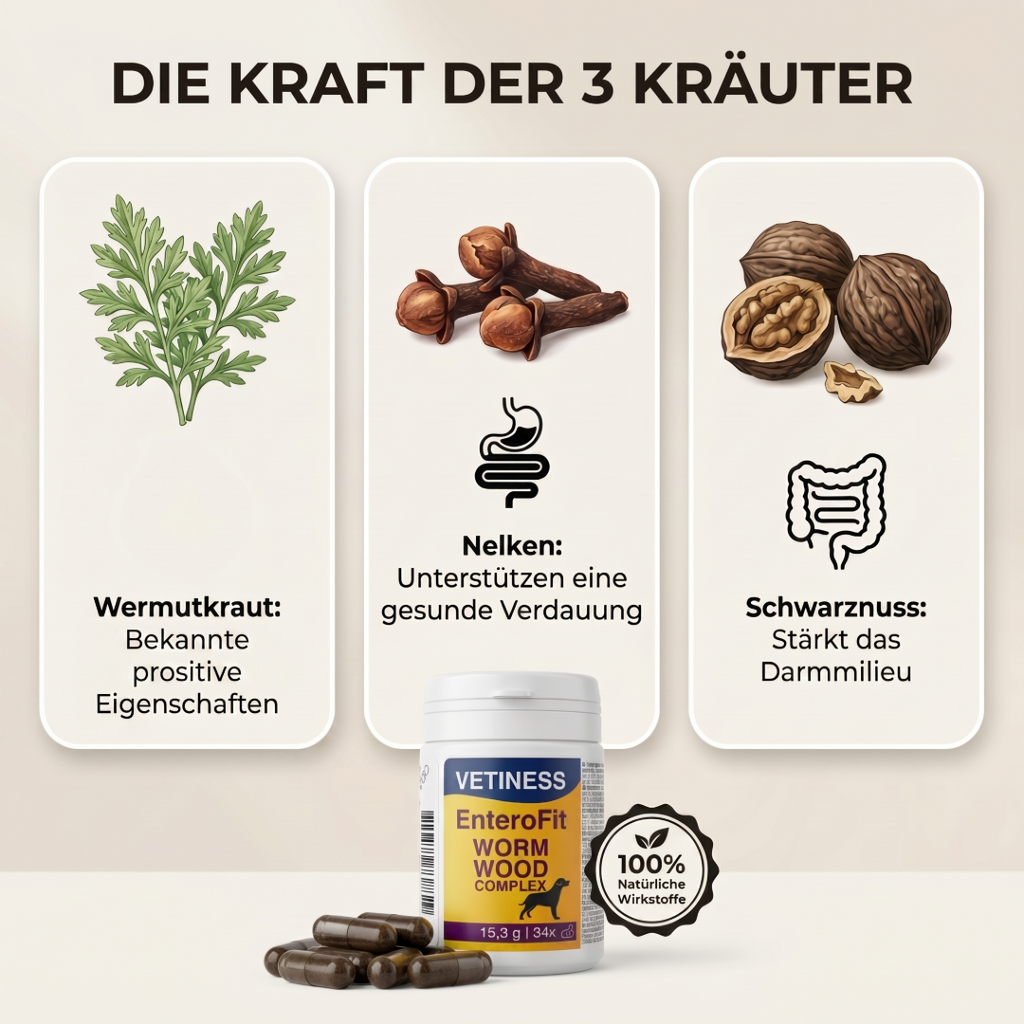 Vetiness Wormwood Complex mit Wurmkraut für den Verdauungstrakt