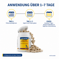 Vetiness EnteroFit Durchfallstopp Kapseln – Anwendung über 1 bis 7 Tage