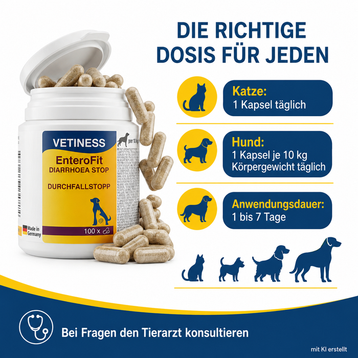 Vetiness EnteroFit Durchfallstopp Kapseln – die richtige Dosierung für Hund und Katze