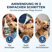 Vetiness Ohrentropfen AG – Anwendung in 3 einfachen Schritten