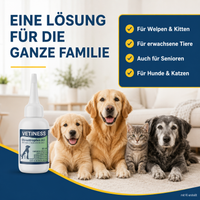 Vetiness Ohrentropfen AG – eine Lösung für die ganze Familie: Hunde und Katzen jeden Alters